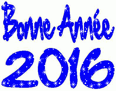 BONNE ANNEE 2016 !